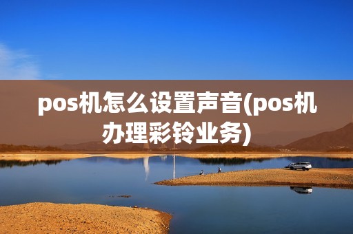 pos机怎么设置声音(pos机办理彩铃业务)