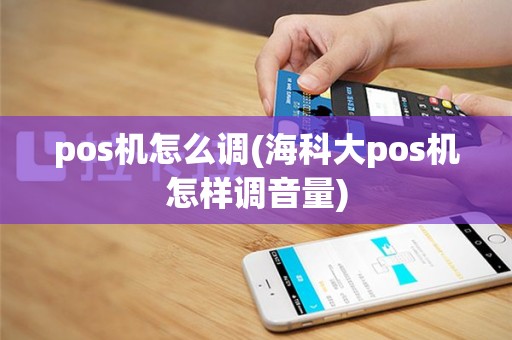 pos机怎么调(海科大pos机怎样调音量)