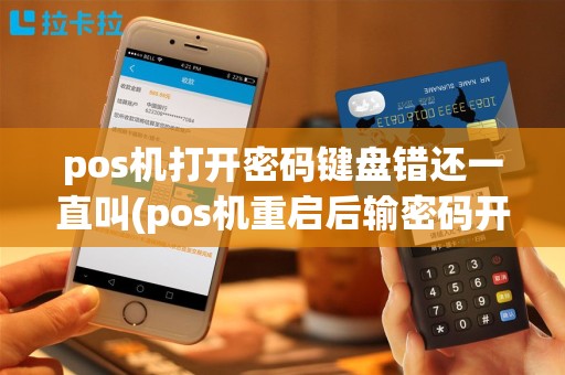 pos机打开密码键盘错还一直叫(pos机重启后输密码开不了机)
