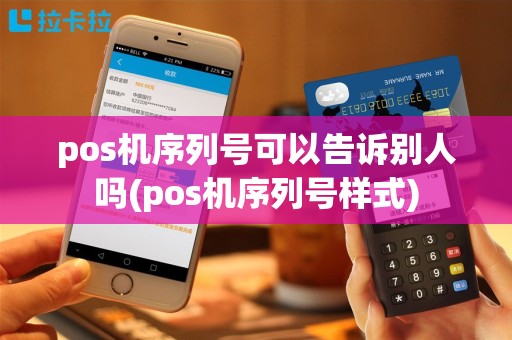 pos机序列号可以告诉别人吗(pos机序列号样式)