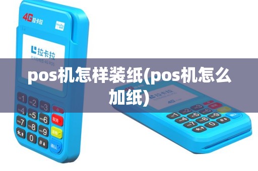pos机怎样装纸(pos机怎么加纸)
