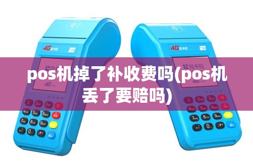 pos机掉了补收费吗(pos机丢了要赔吗)