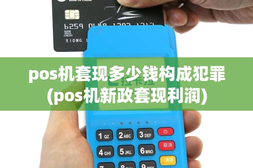 pos机套现多少钱构成犯罪(pos机新政套现利润)