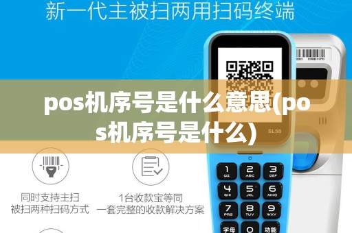 pos机序号是什么意思(pos机序号是什么)