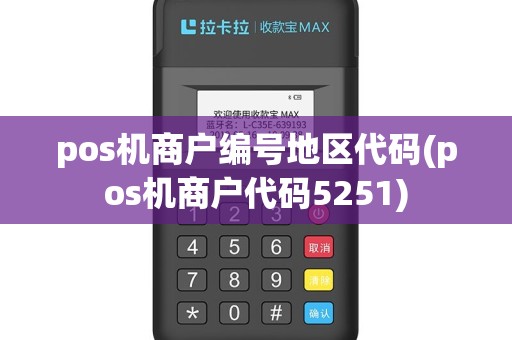 pos机商户编号地区代码(pos机商户代码5251)