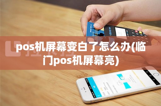 pos机屏幕变白了怎么办(临门pos机屏幕亮)