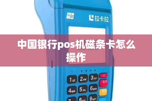 中国银行pos机磁条卡怎么操作