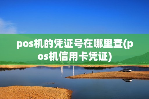 pos机的凭证号在哪里查(pos机信用卡凭证)