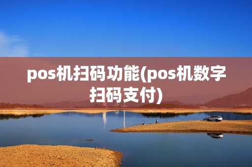 pos机扫码功能(pos机数字扫码支付)
