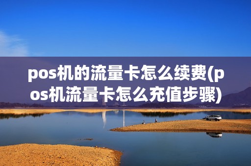 pos机的流量卡怎么续费(pos机流量卡怎么充值步骤)