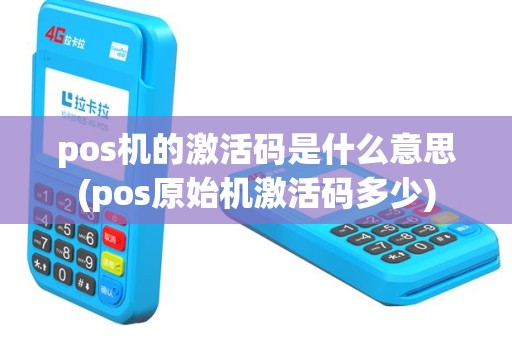 pos机的激活码是什么意思(pos原始机激活码多少)