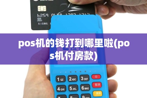 pos机的钱打到哪里啦(pos机付房款)