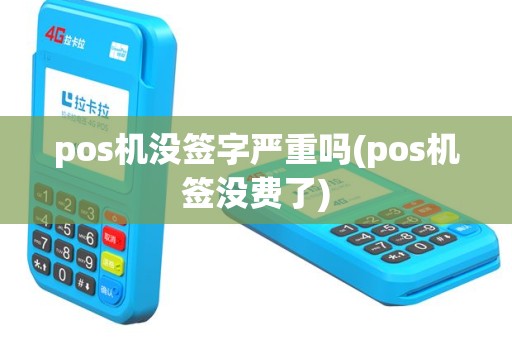 pos机没签字严重吗(pos机签没费了)