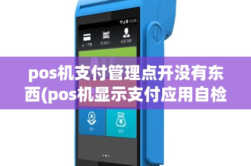 pos机支付管理点开没有东西(pos机显示支付应用自检)