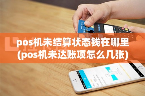 pos机未结算状态钱在哪里(pos机未达账项怎么几张)