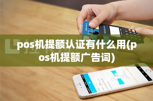pos机提额认证有什么用(pos机提额广告词)