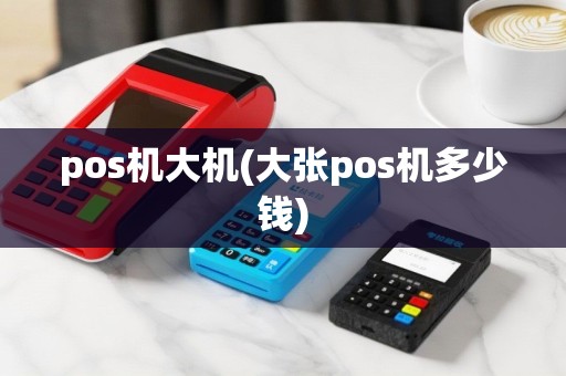 pos机大机(大张pos机多少钱)