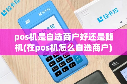 pos机是自选商户好还是随机(在pos机怎么自选商户)