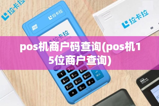 pos机商户码查询(pos机15位商户查询)