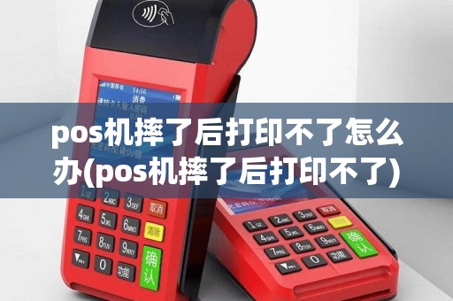 pos机摔了后打印不了怎么办(pos机摔了后打印不了)