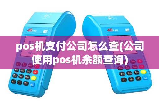 pos机支付公司怎么查(公司使用pos机余额查询)