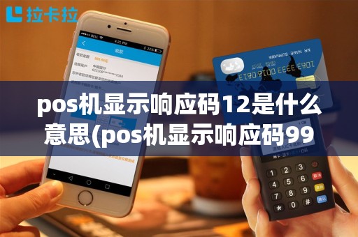 pos机显示响应码12是什么意思(pos机显示响应码9999)