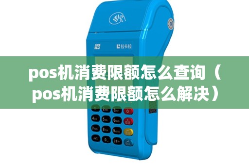 pos机消费限额怎么查询（pos机消费限额怎么解决）