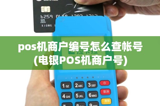 pos机商户编号怎么查帐号(电银POS机商户号)