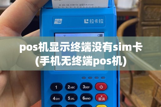 pos机显示终端没有sim卡(手机无终端pos机)