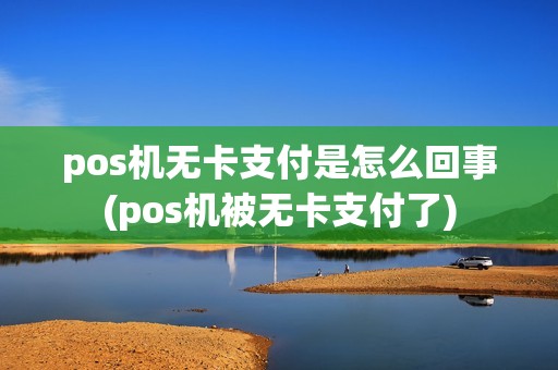 pos机无卡支付是怎么回事(pos机被无卡支付了)