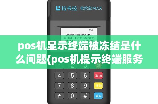 pos机显示终端被冻结是什么问题(pos机提示终端服务限制)