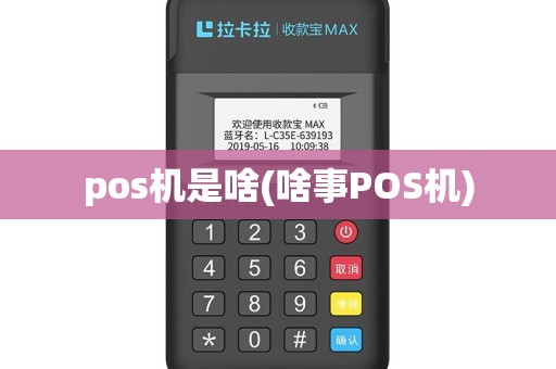 pos机是啥(啥事POS机)