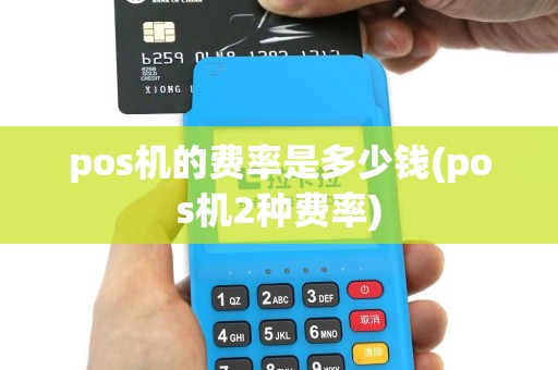 pos机的费率是多少钱(pos机2种费率)