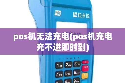 pos机无法充电(pos机充电充不进即时到)
