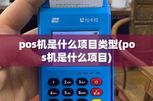 pos机是什么项目类型(pos机是什么项目)
