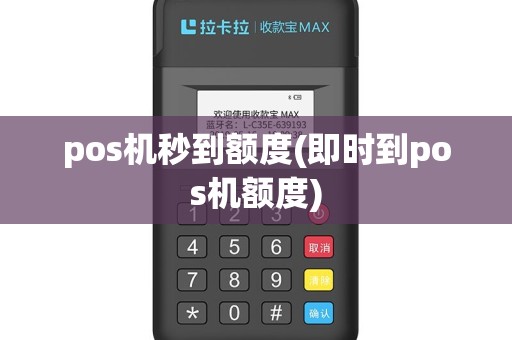 pos机秒到额度(即时到pos机额度)