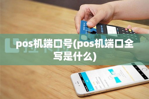 pos机端口号(pos机端口全写是什么)