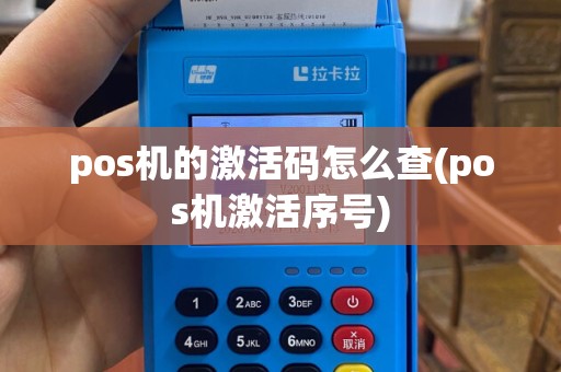 pos机的激活码怎么查(pos机激活序号)