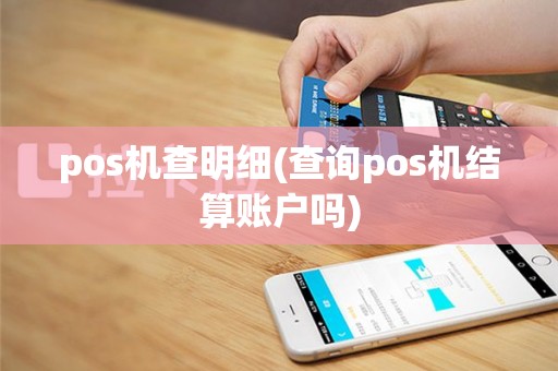 pos机查明细(查询pos机结算账户吗)