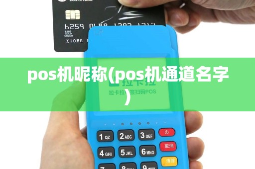 pos机昵称(pos机通道名字)