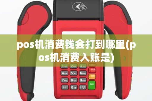 pos机消费钱会打到哪里(pos机消费入账是)