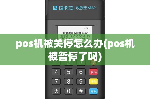 pos机被关停怎么办(pos机被暂停了吗)