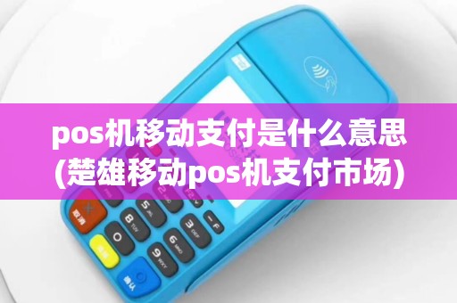 pos机移动支付是什么意思(楚雄移动pos机支付市场)