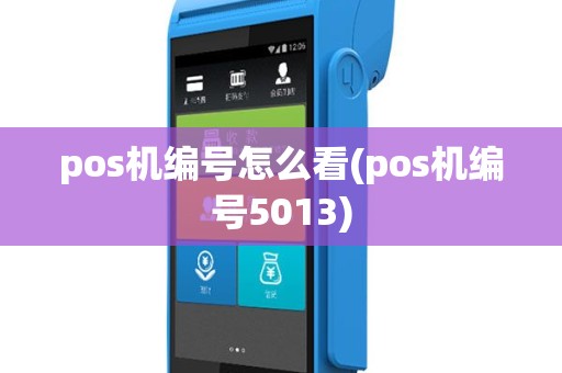 pos机编号怎么看(pos机编号5013)
