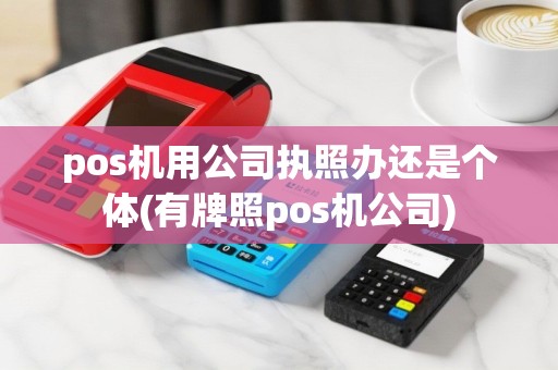 pos机用公司执照办还是个体(有牌照pos机公司)