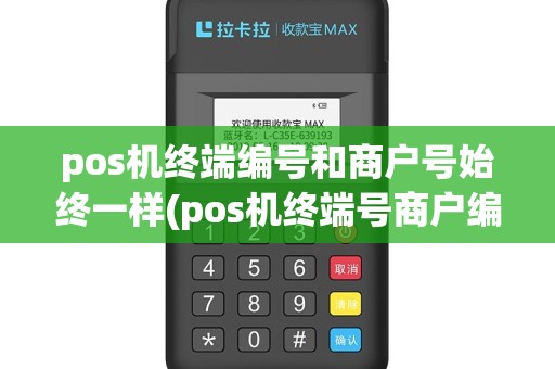 pos机终端编号和商户号始终一样(pos机终端号商户编号)