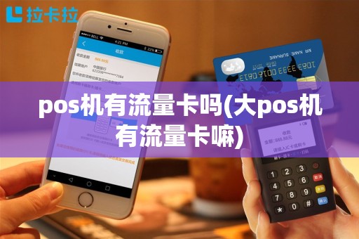 pos机有流量卡吗(大pos机有流量卡嘛)