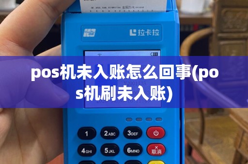 pos机未入账怎么回事(pos机刷未入账)