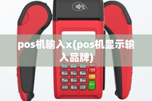 pos机输入x(pos机显示输入品牌)