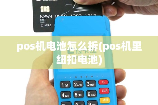 pos机电池怎么拆(pos机里纽扣电池)